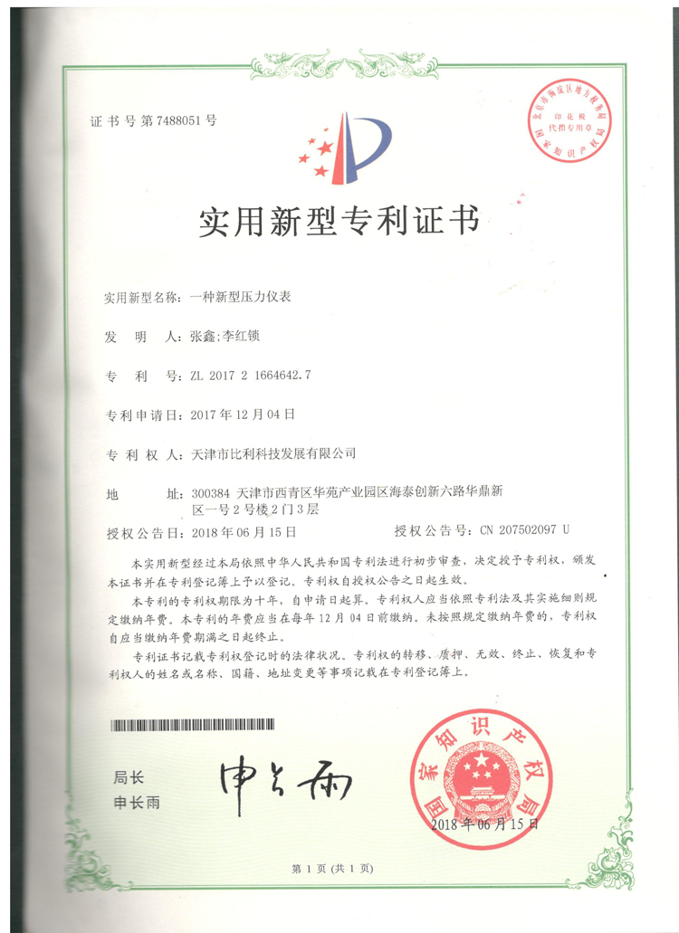 实用新型专利-新型压力仪表